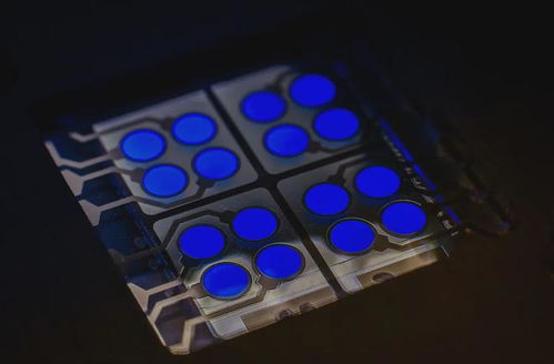 OLED蓝色材料发展现况 百家争鸣背后的隐忧与挑战